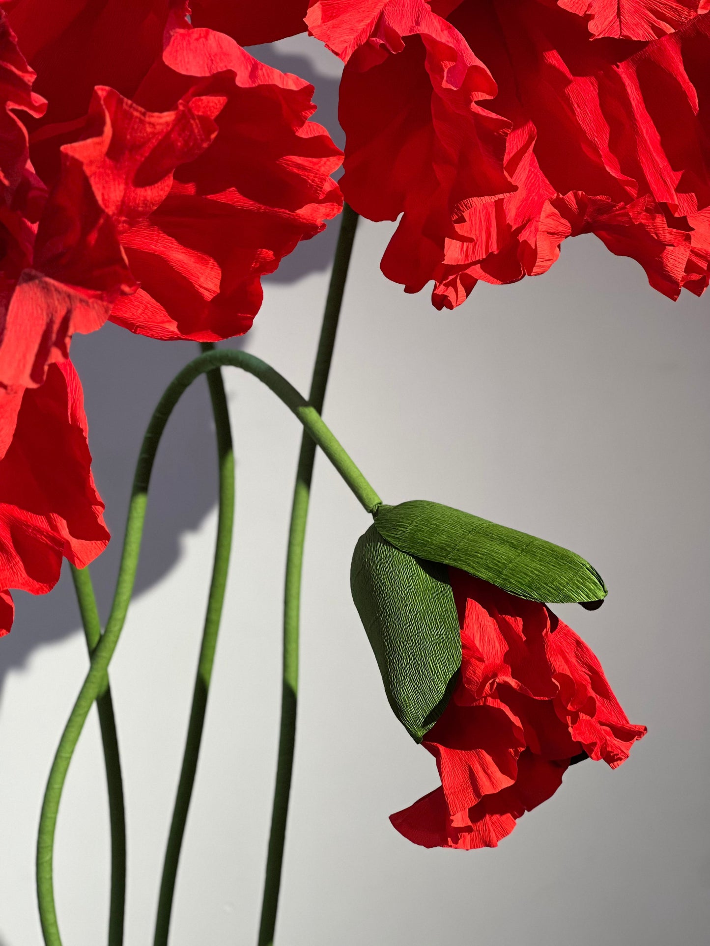 Enchanting Red Paper Flowers